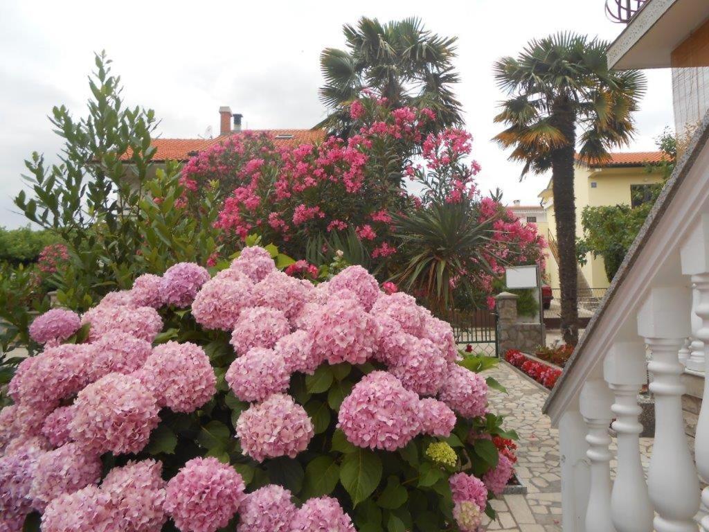 Apartmani Braut Kornic Exterior photo
